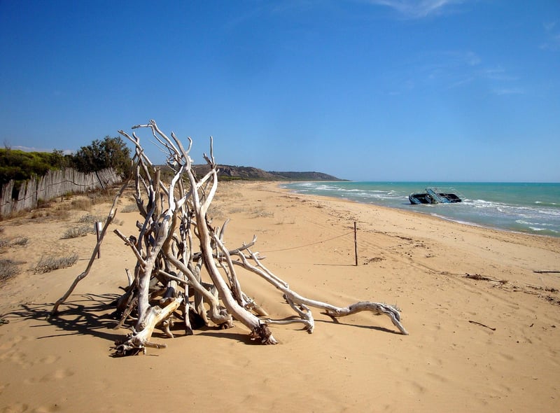Environmental Sculptures