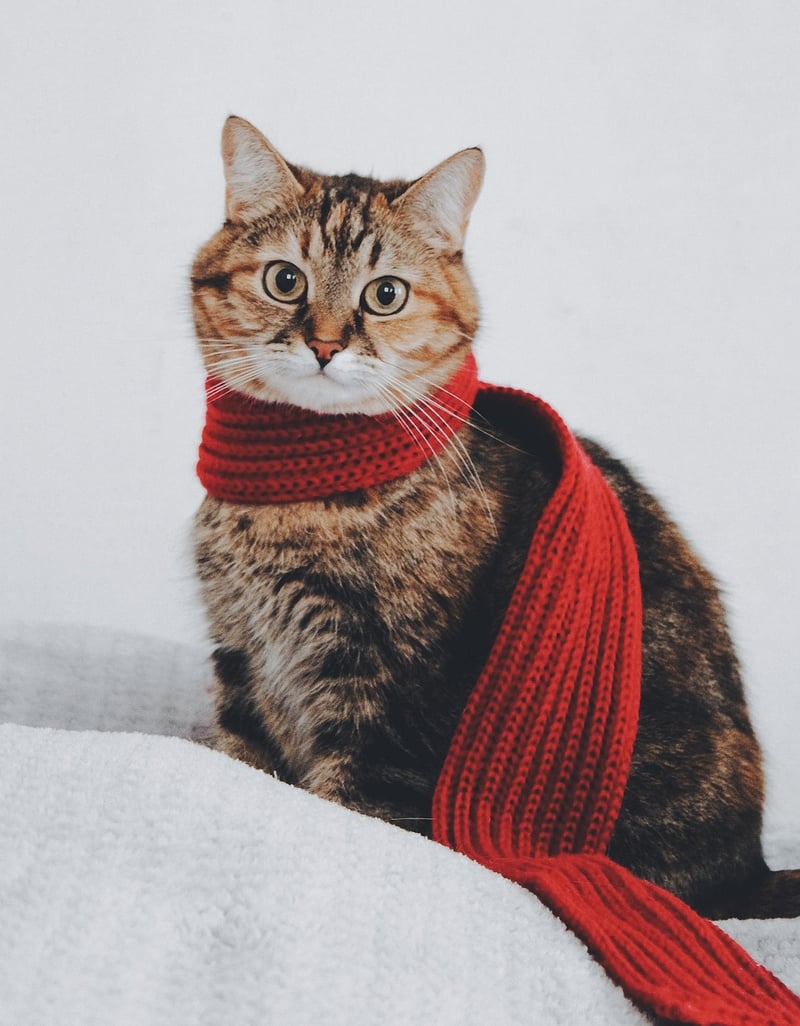 Upcycled scarf